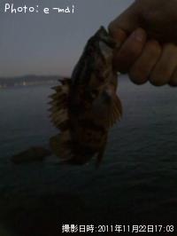 �����Υ���Х�