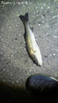 �����Х�