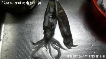 ¥¢¥ª¥ê¥¤¥«