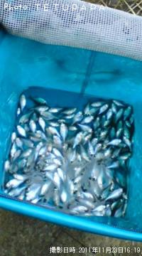 ÂçΦ¥Ð¥é¥¿¥Ê¥´