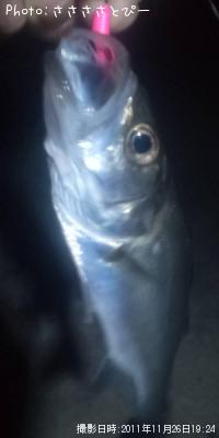 �����Х�