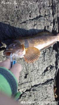 �����ʥ�