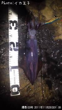 ���󥵥�����