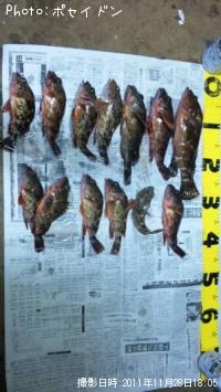 ¥¢¥³¥¦¡¢¥«¥µ¥´