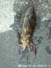 �����ꥤ��