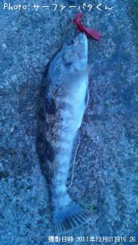 �����ʥ�