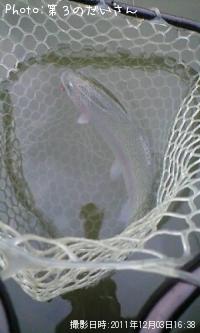 �쥤��ܡ��ȥ饦��