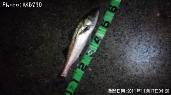 �����Х�