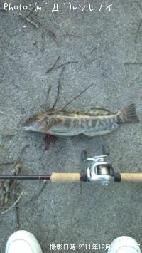 �����ʥ�