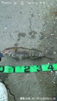 �����ʥ�