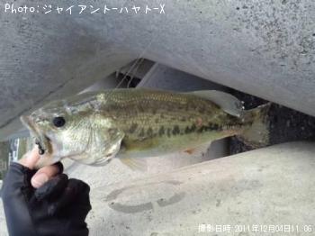 �֥�å��Х�