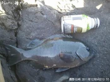 �����᥸��