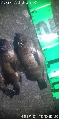 ¥¯¥ê¥¢¥á¥Ð¥ë