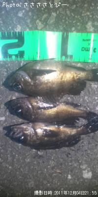 ¥¯¥ê¥¢¥á¥Ð¥ë