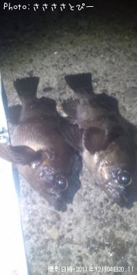 ¥¯¥ê¥¢¥á¥Ð¥ë