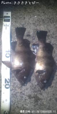 ¥¯¥ê¥¢¥á¥Ð¥ë