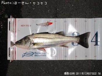 �����Х�