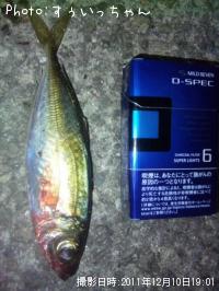 ¥¢¥¸