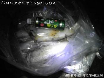 ¥¢¥ª¥ê¥¤¥«