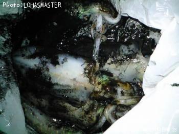 ¥¢¥ª¥ê¥¤¥«