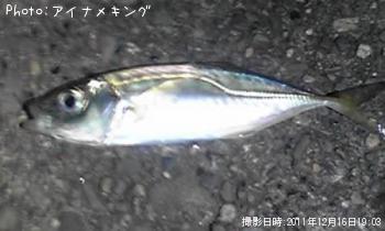 �����å���