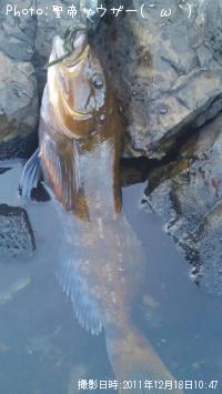 �����ʥ�