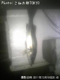 �����Х�