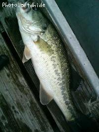 �֥�å��Х�