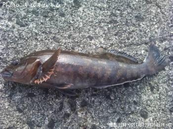 �����ʥ�