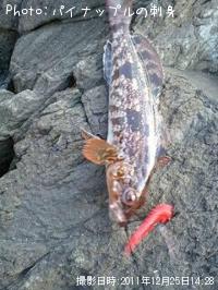 �����ʥ�