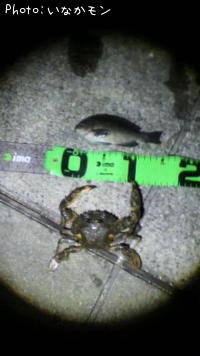 ¤ªµû¥¥é¡¼¡©