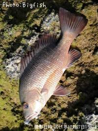 ���ޥե�����