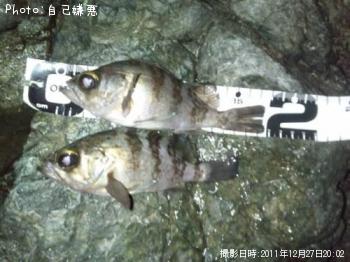 ��Х롥