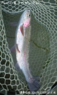 �쥤��ܡ��ȥ饦��