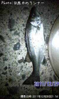 ����������Х�