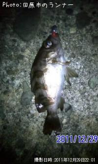 ����������Х�