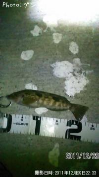 �����ʥ�