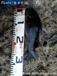 ¸ýÂÀ¥á¥¸¥Ê