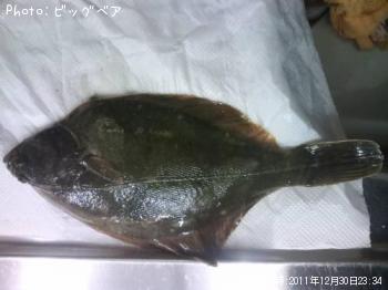 �������쥤