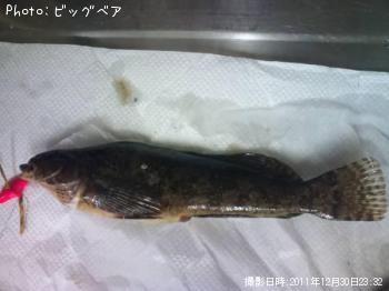 �����ʥ�