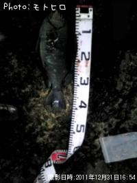 ¸ýÂÀ¥á¥¸¥Ê