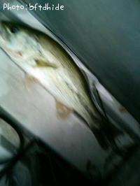 �֥�å��Х�