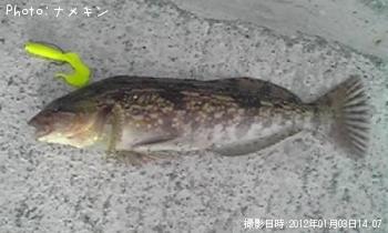 �����ʥ�