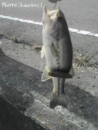 ¥Ö¥é¥Ã¥¯¥Ð¥¹