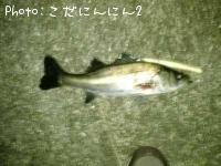 �����Х�