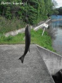 �֥�å��Х�