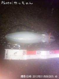 ¥¢¥ª¥ê¥¤¥«