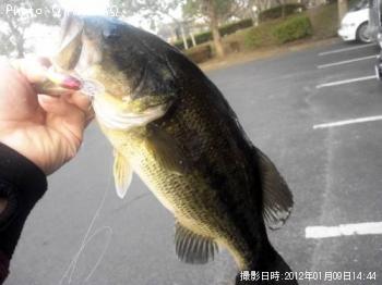 �֥�å��Х�