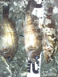 ¥á¥Ð¥ë¤Ë¥¿¥±¥Î¥³¥á¥Ð¥ë