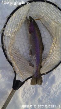 �쥤��ܡ��ȥ饦��